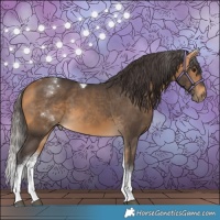 Horse Color:White Spotted Buckskin Tobiano 