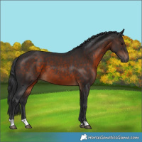 Horse Color:Brown 