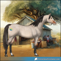 Horse Color:Bay Roan Dun Splash 
