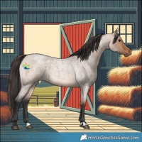Horse Color:Bay Roan Dun 