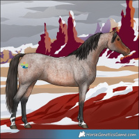 Horse Color:Bay Roan 
