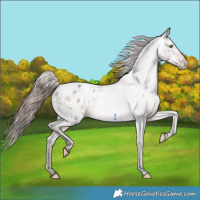 Horse Color:Platinum Sable Champagne Dun Varnish 