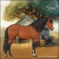 Horse Color:Bay Sabino 