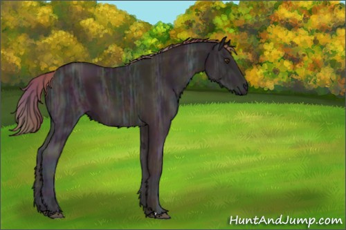 Horse Color:Nacre Midnight Chestnut Ice 