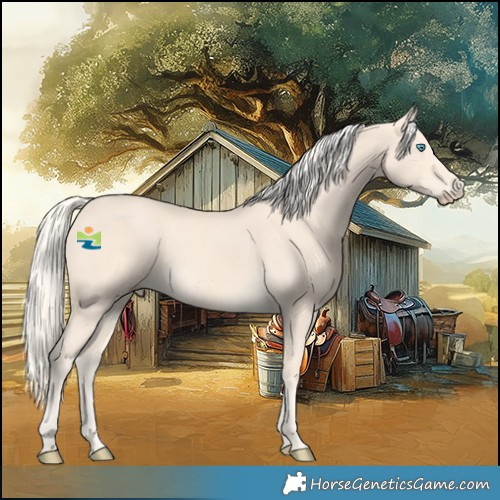 Horse Color:Cremello 