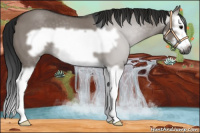 Horse Color:Gray Grullo Splash Frame 