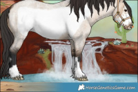 Horse Color:Brown Roan Dun Frame 