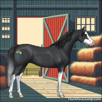 Horse Color:Blue Roan Splash 