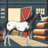 Horse Color:Blue Roan Splash Near Fewspot 