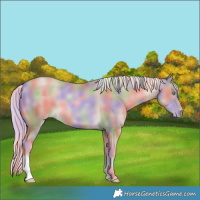 Horse Color:Nacre Chocolate Palomino Pearl 