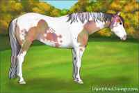 Horse Color:Nacre Bay Splash Tobiano 
