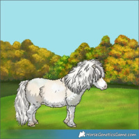 Horse Color:Silver Buckskin Pearl Dun Splash 