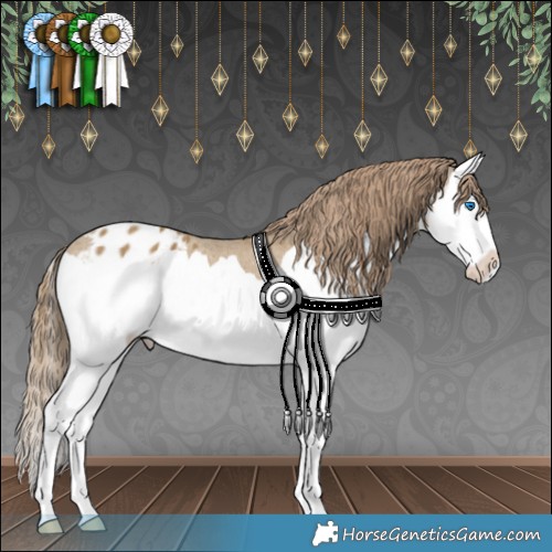 Horse Color:Classic Cream Champagne Splash Appaloosa 