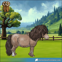 Horse Color:Classic Champagne 
