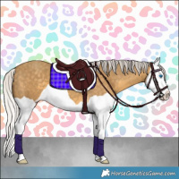 Horse Color:Silver Classic Cream Champagne Splash 