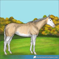 Horse Color:Silver Sable Cream Champagne Dun Splash Rabicano 