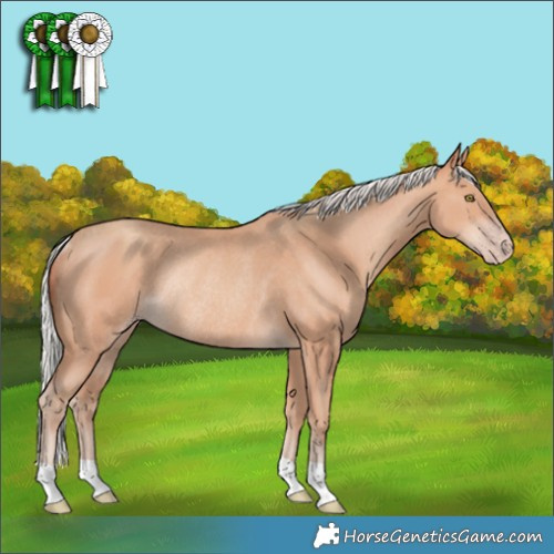 Horse Color:Silver Sable Champagne Rabicano 