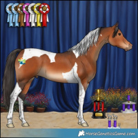 Horse Color:Bay Tobiano 