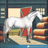 Horse Color:Gray Bay Dun 