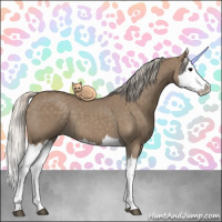 Horse Color:Silver Grullo Splash
