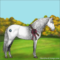 Horse Color:Gray Black