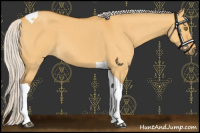 Horse Color:Silver Buckskin Dun Tobiano 