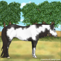 Horse Color:Liver Chestnut Frame 