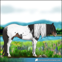 Horse Color:Liver Chestnut Tobiano Snowcap 