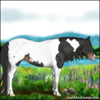 Horse Color:Liver Chestnut Tobiano Snowcap