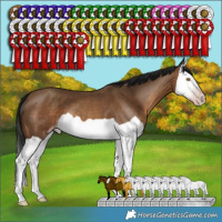 Horse Color:Gray Sable Champagne Splash 