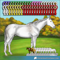 Horse Color:Gray Sable Champagne Splash