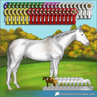 Horse Color:Gray Sable Champagne Splash 