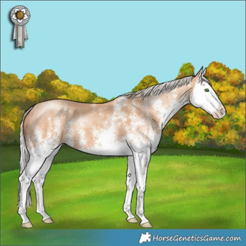 Horse Color:White Spotted Silver Classic Champagne Splash 