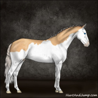 Horse Color:Silver Sable Cream Champagne Splash