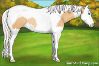 Horse Color:Silver Sable Cream Champagne Splash Tobiano Rabicano 