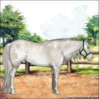 Horse Color:White Spotted Chocolate Palomino Roan Pearl Mushroom