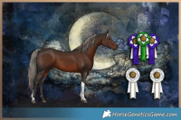 Horse Color:Liver Chestnut Tobiano
