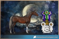 Horse Color:Liver Chestnut Tobiano 