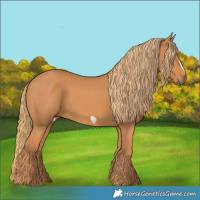 Horse Color:Chestnut Frame