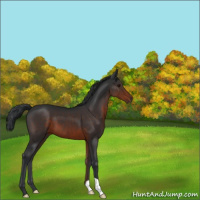 Horse Color:Brown 