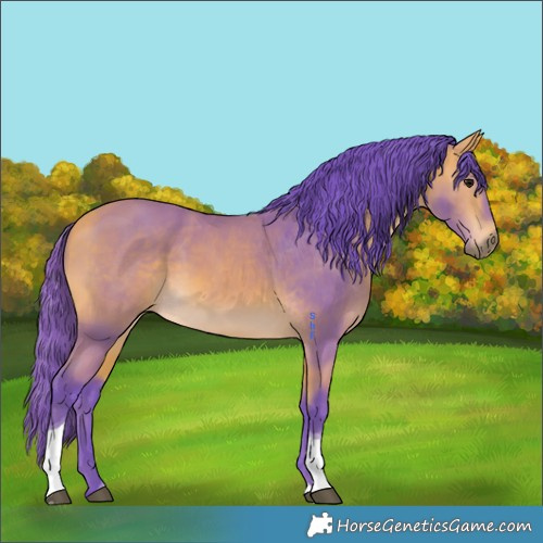 Horse Color:Watercolor Buckskin Tobiano 