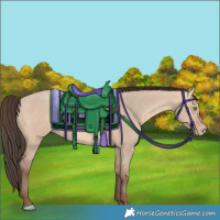 Horse Color:Amber Champagne Dun