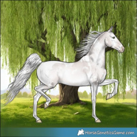 Horse Color:Platinum White Spotted Cremello Onyx Tobiano 