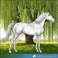 Horse Color:Platinum White Spotted Cremello Onyx Tobiano 