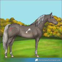 Horse Color:Silver Black Tobiano