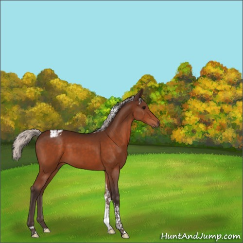 Horse Color:Silver Bay Tobiano 
