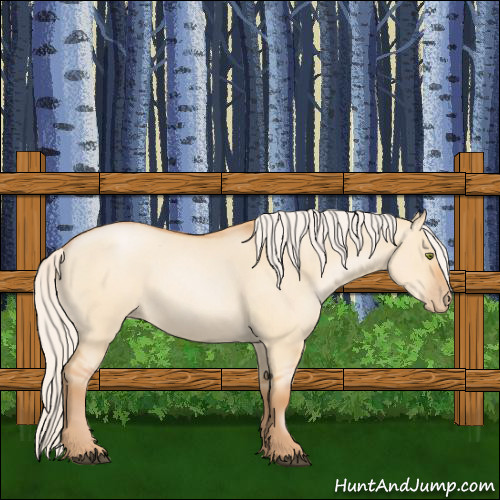 Horse Color:Silver Bay Roan Pearl Dun 