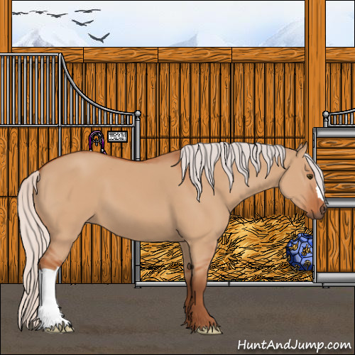 Horse Color:Silver Bay Dun 