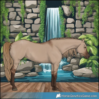 Horse Color:Liver Red Dun 