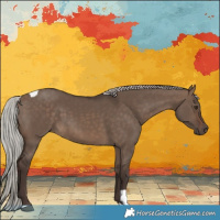 Horse Color:Silver Brown Dun Tobiano 
